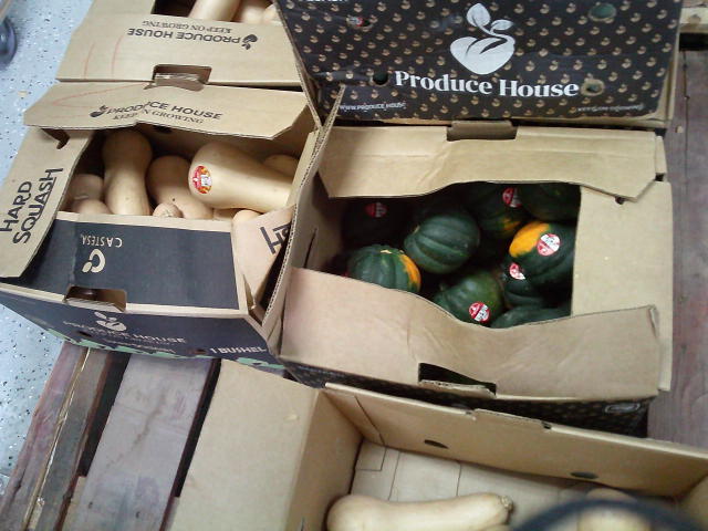 Acorn squash and butternut squash in cardboard boxes on a pallet.